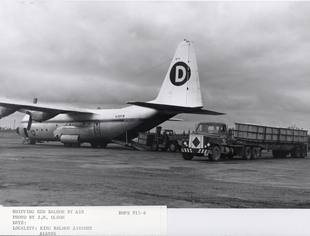 Containers of red salmon are unloaded from a semi-truck and placed aboard a huge Hercules aircraft for transfer to processing plants in Anchorage and otherareas