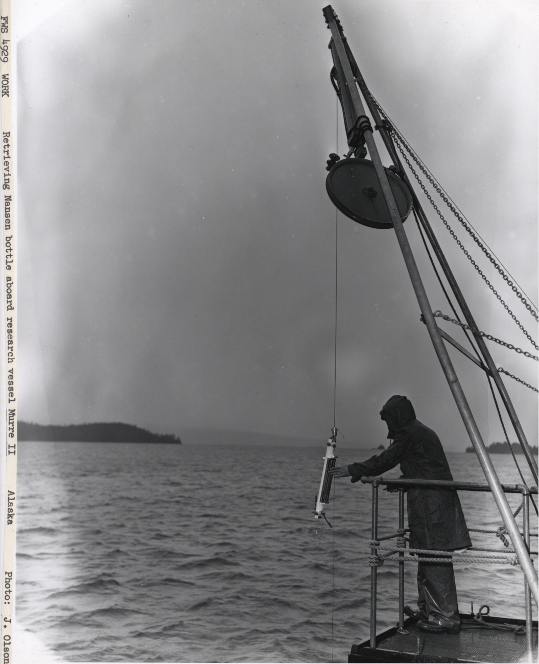 Retrieving a Nansen bottle aboard the Fisheries Research Vessel MURRE II