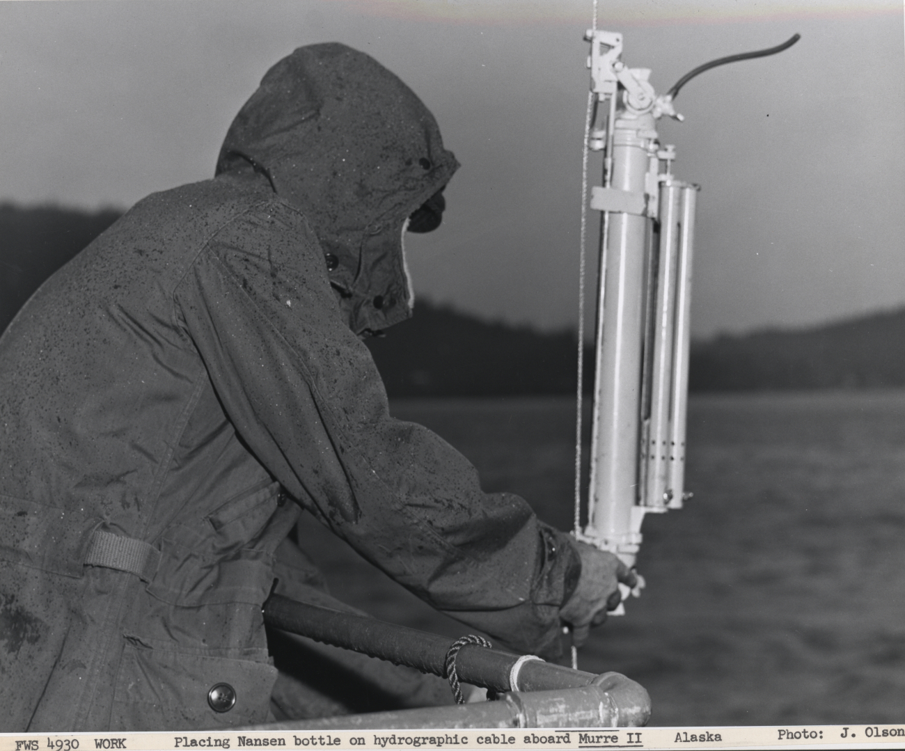Placing a Nansen bottle on the wire aboard the MURRE II