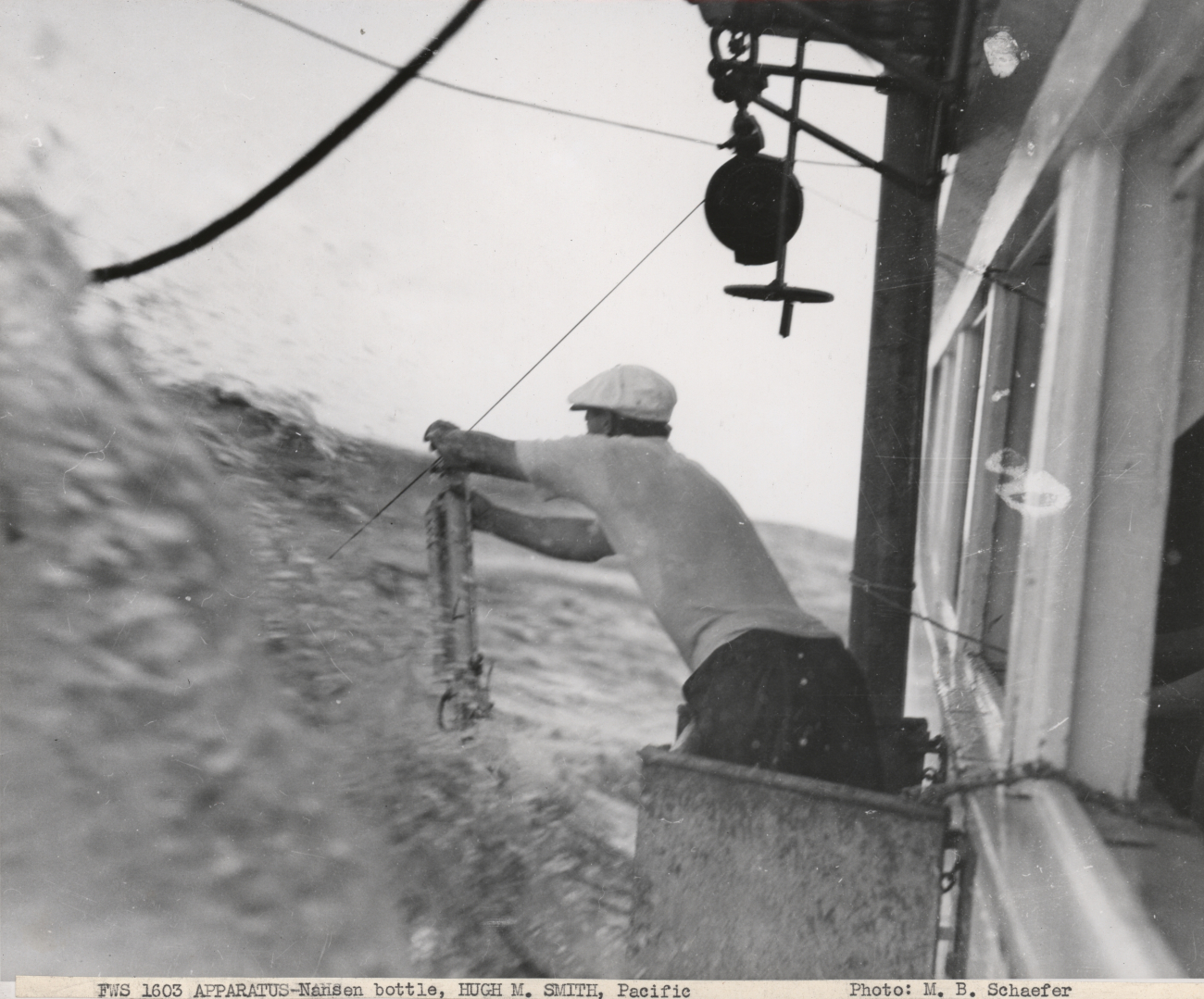 Recovering a Nansen bottle in rough seas on the Fisheries Research VesselHUGH M