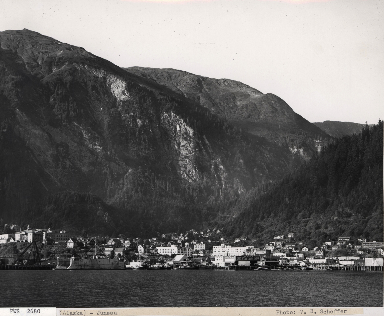 A view of Juneau from the water