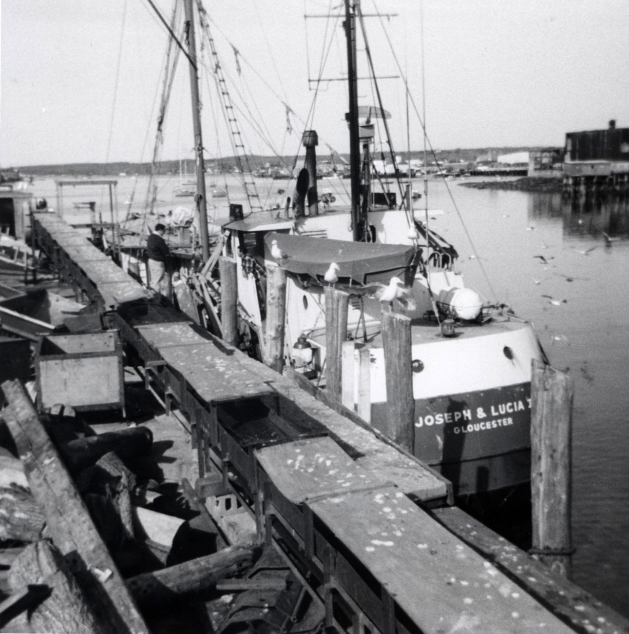 The vessel JOSEPH & LUCIA II out of Gloucester was used for catchingwhiting at the time of this photo