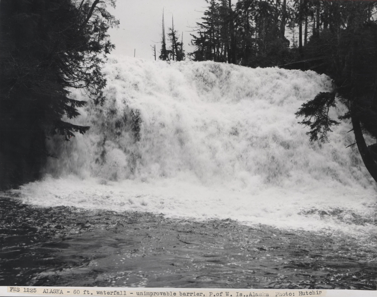 A 60-foot waterfall which was interpeted to be not possible to make passable for fish