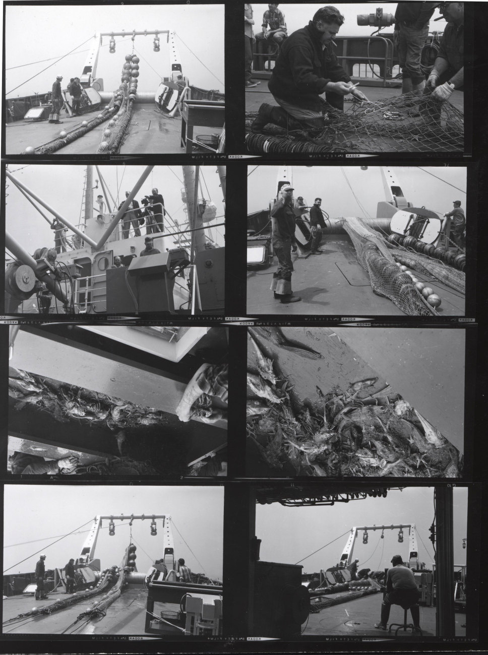 Operations on the ALBATROSS IV - probably 1963 cruise