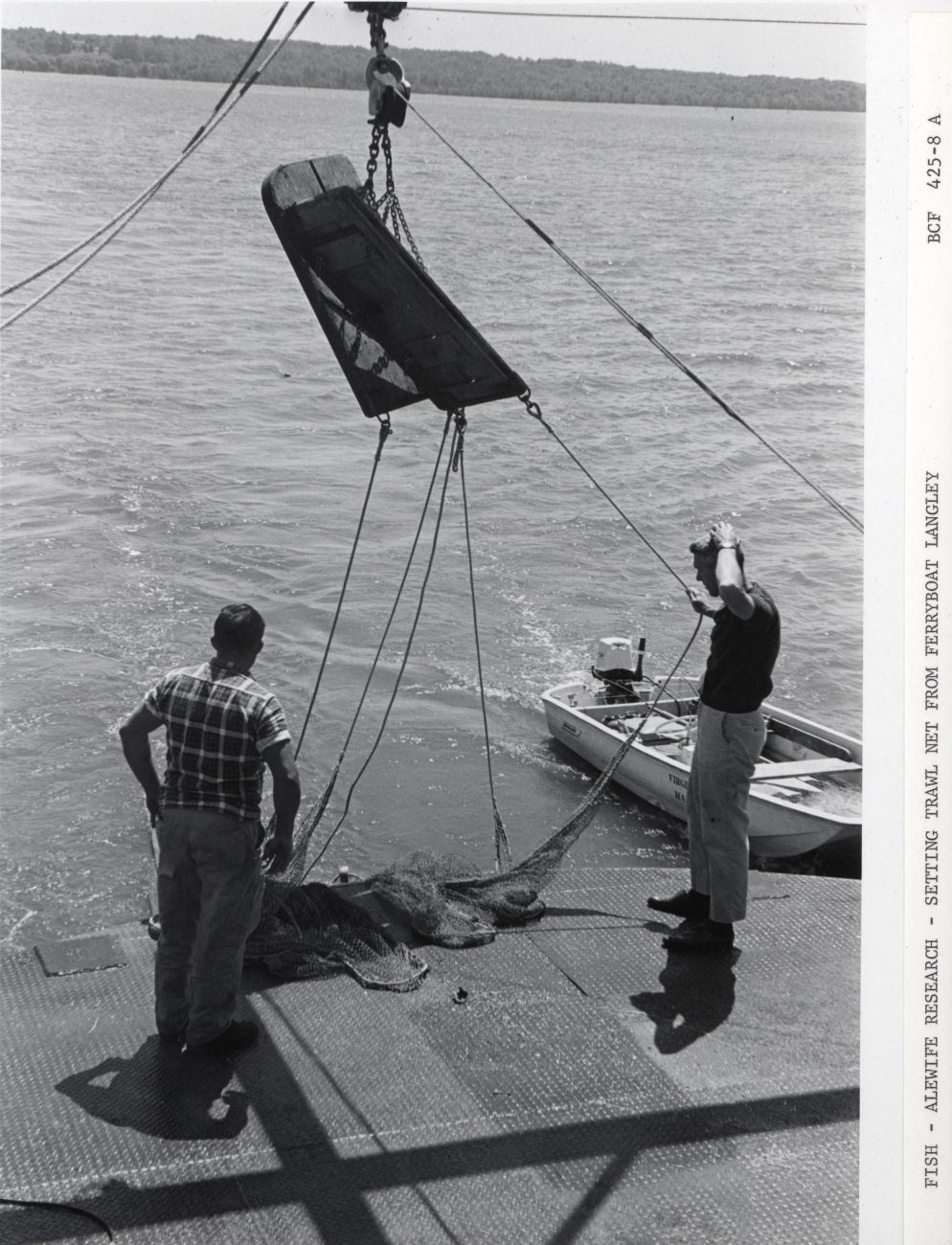 Alewife research - Setting trawl net from Virginia Institute of Marine Scienceferry boat LANGLEY