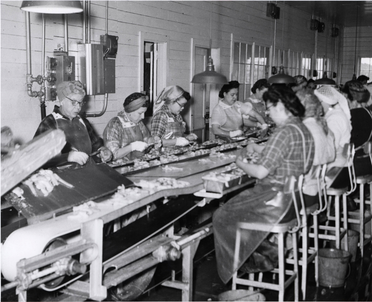 Women on the clam processing line