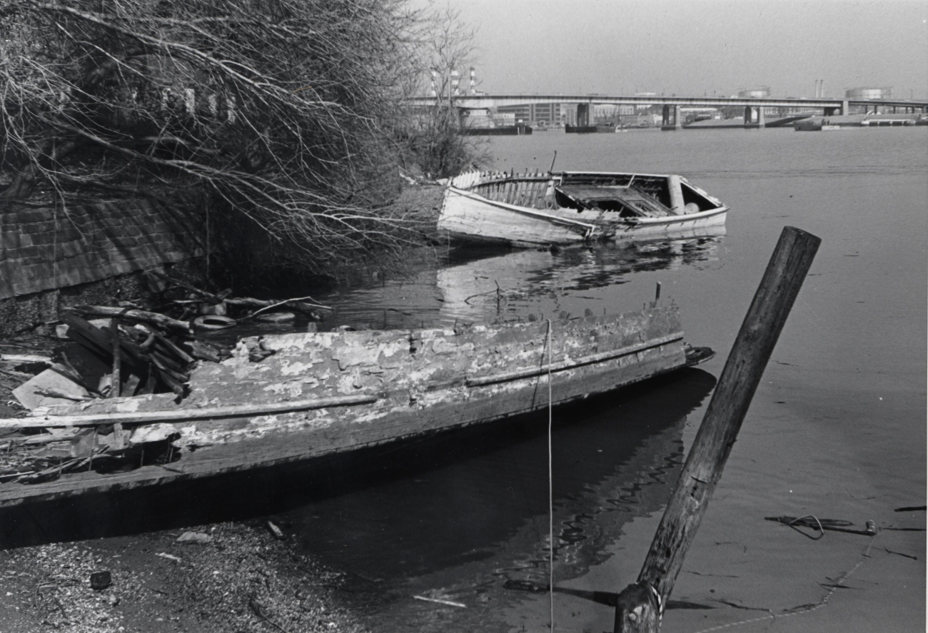 Derelict boat left to rot along the banks of the Potomac River