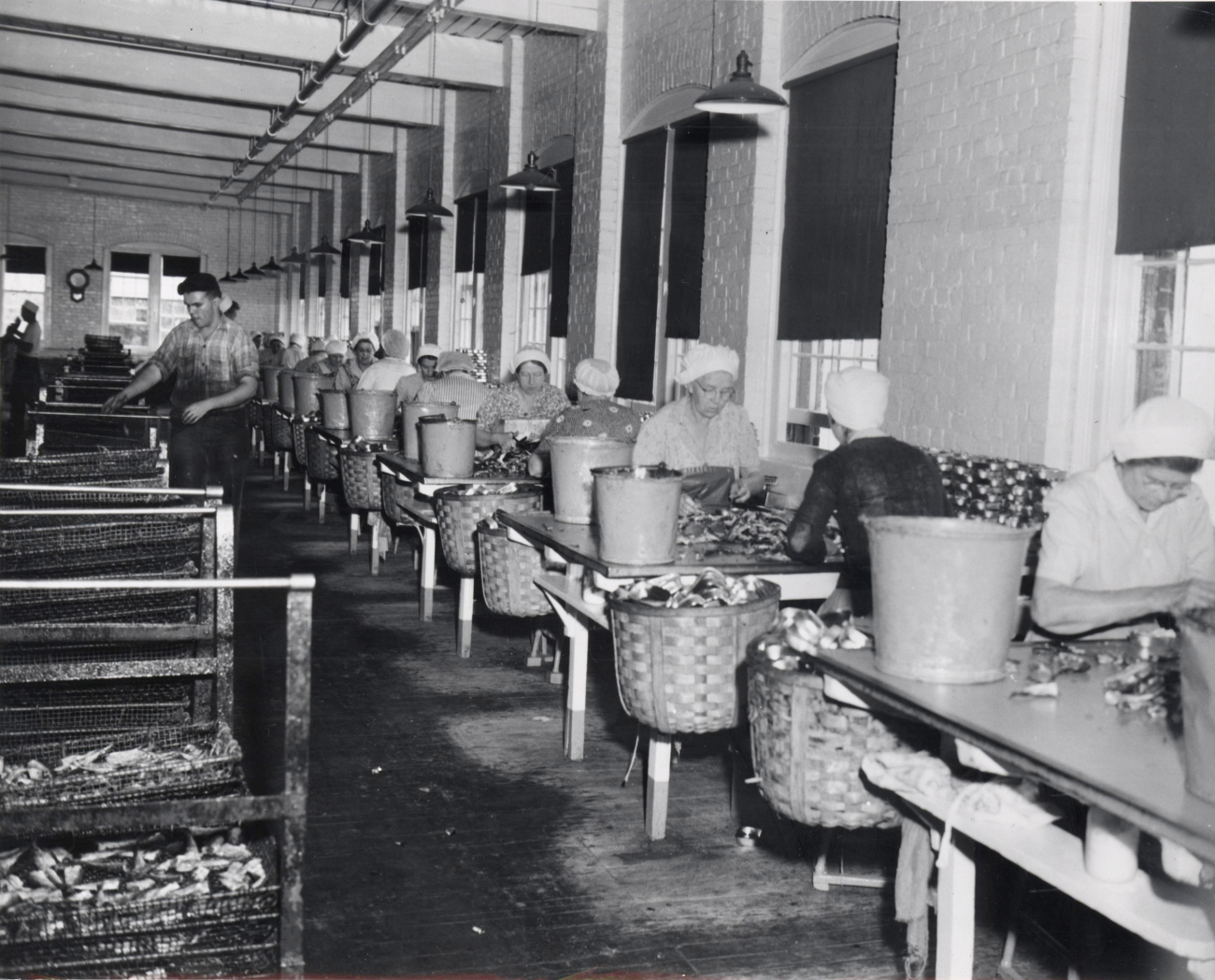Unidentified women cannery workers apparently picking crab meat
