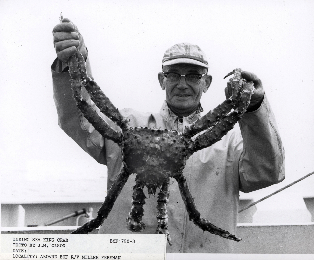 Bering Sea king crab average 7 to 8 pounds total weight; recoverable meat isbetween 20 and 25 percent