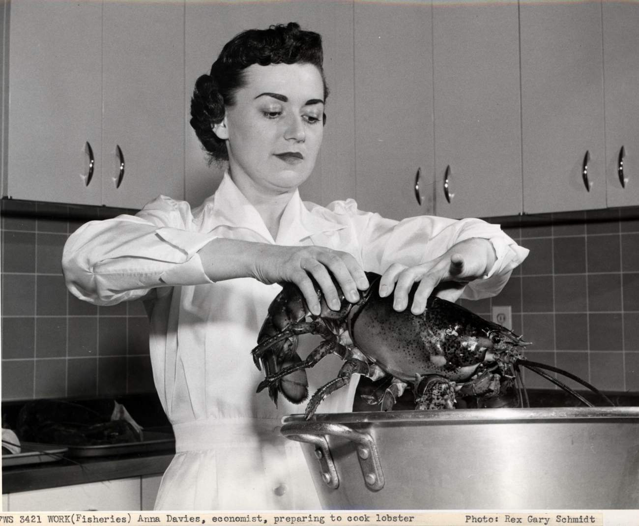 Anna Davies, economist, preparing to cook lobster