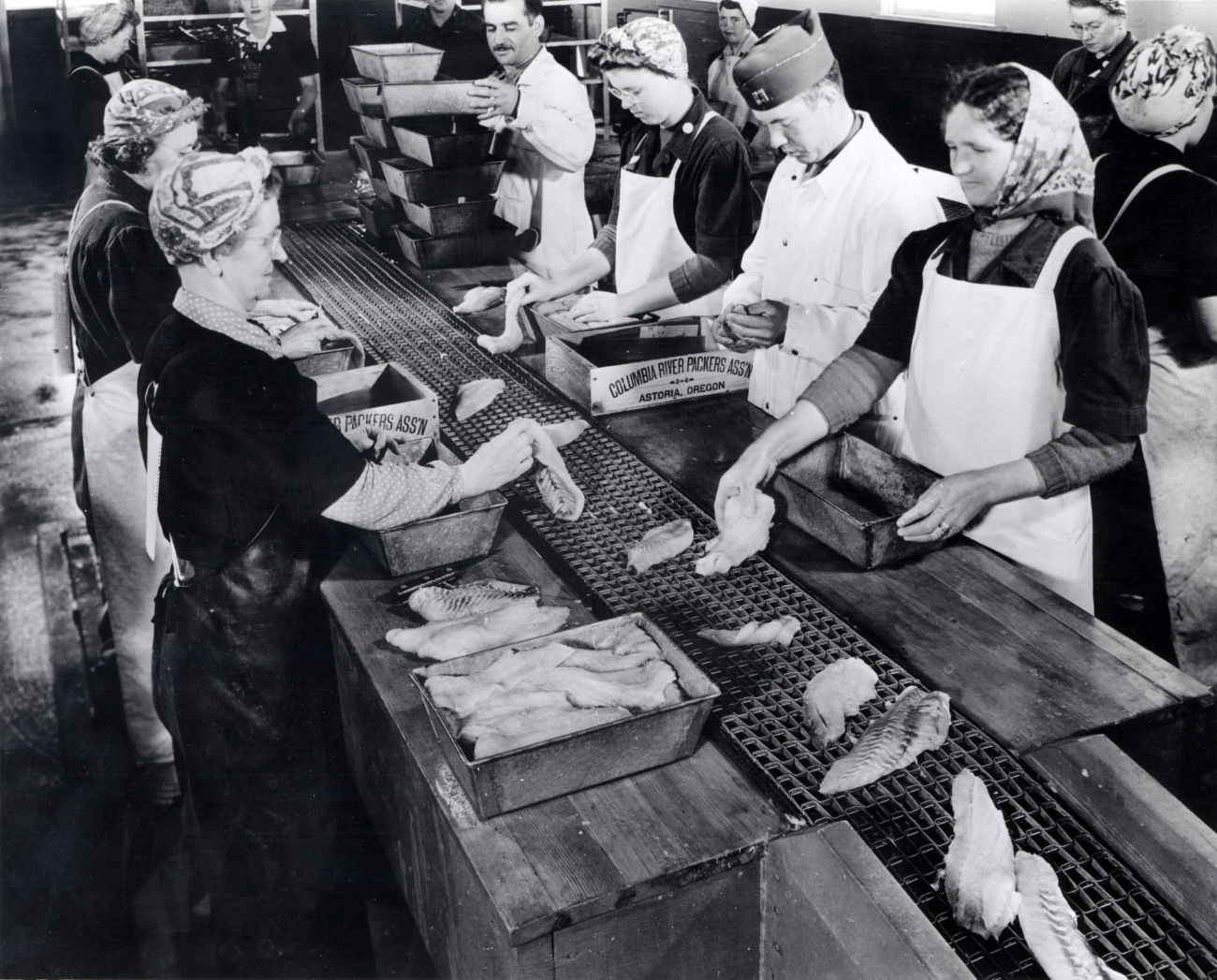 Sorting and packing fillets for freezing - note veteran with insignia onassembly line