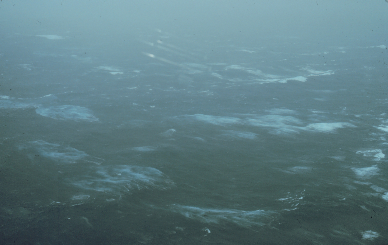 Sea surface as observed from 500 feet in Hurricane Emmy