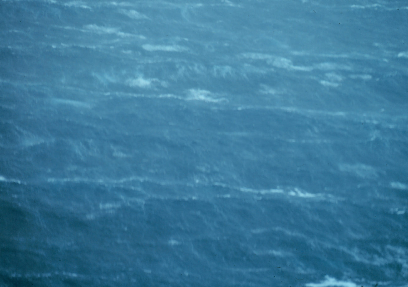 Sea surface from approximately 500 feet altitude in Hurricane Belle