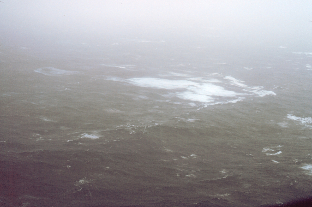 Sea surface from approximately 500 feet altitude in 60 knots wind speed inHurricane Emmy
