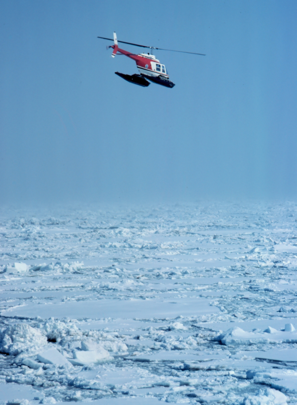 Lieutenant Terry Laydon leased Bell 206 during OCSEAP seal studies in Bering Sea