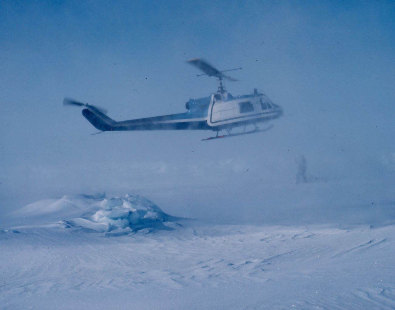 NOAA Bell UH-1M helicopter getting in position to weigh sedated polar bear