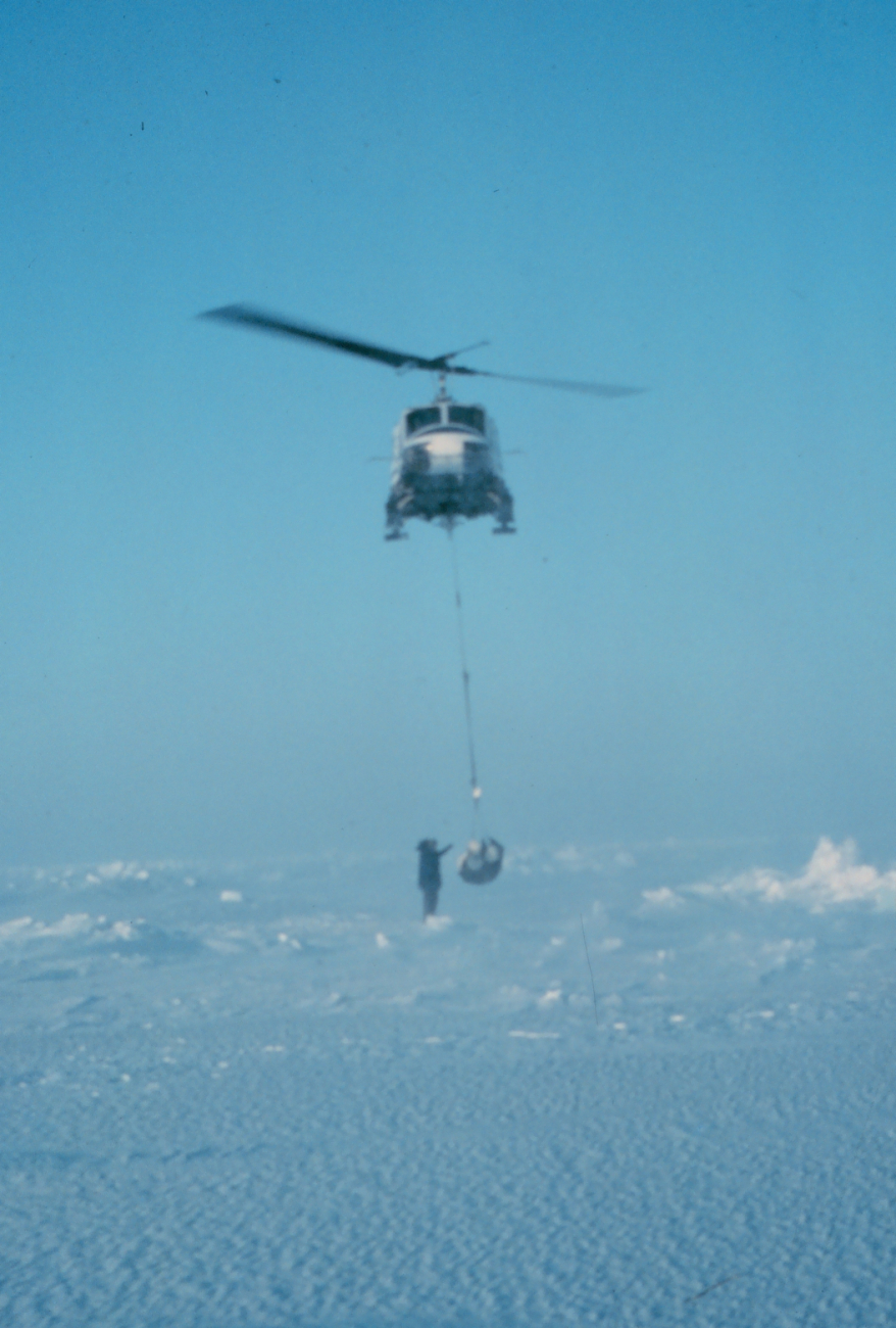 Weighing a polar bear with a NOAA helicopter