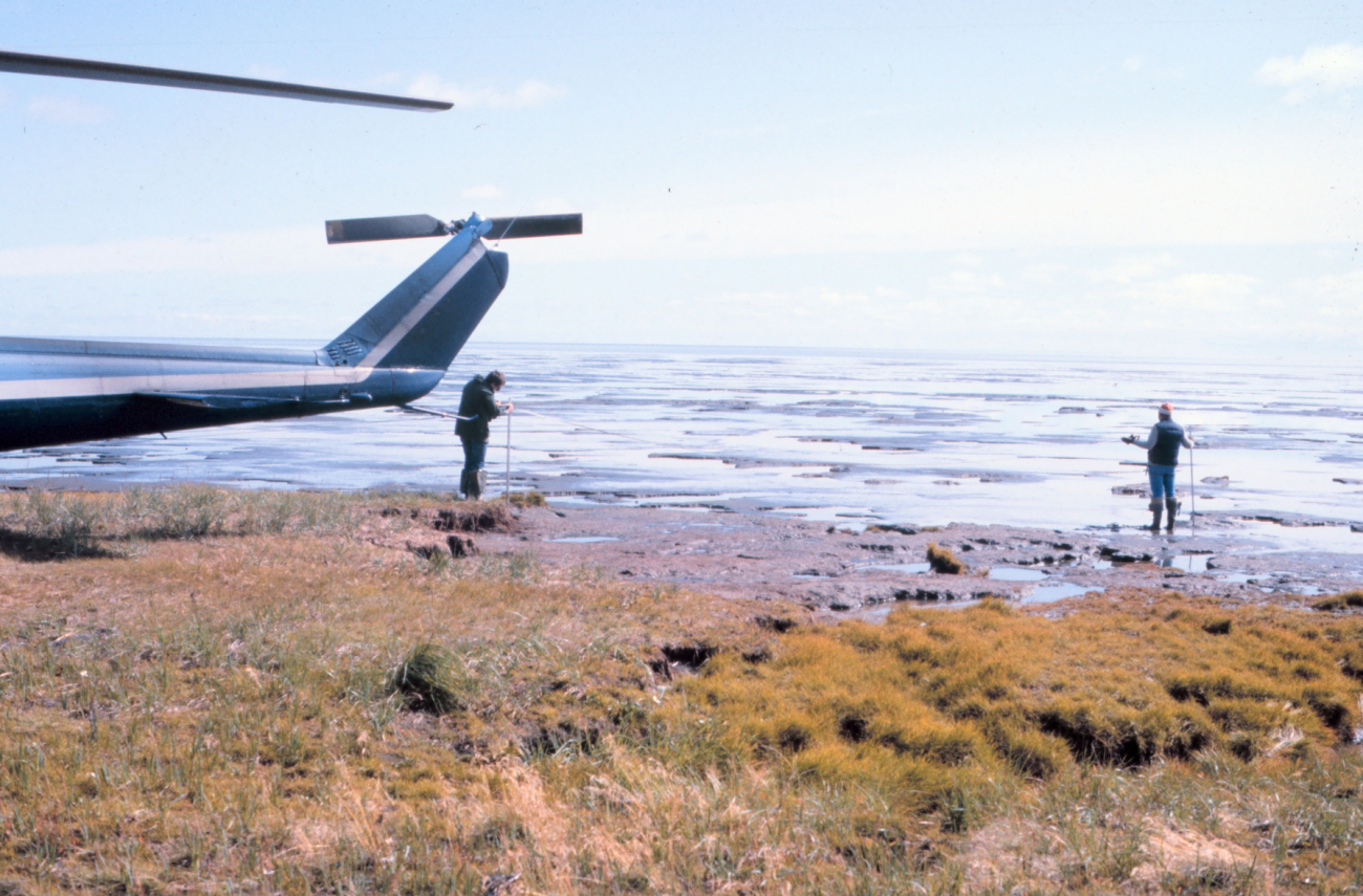 Scientists studying permafrost and spring melt on shores of Beaufort Sea