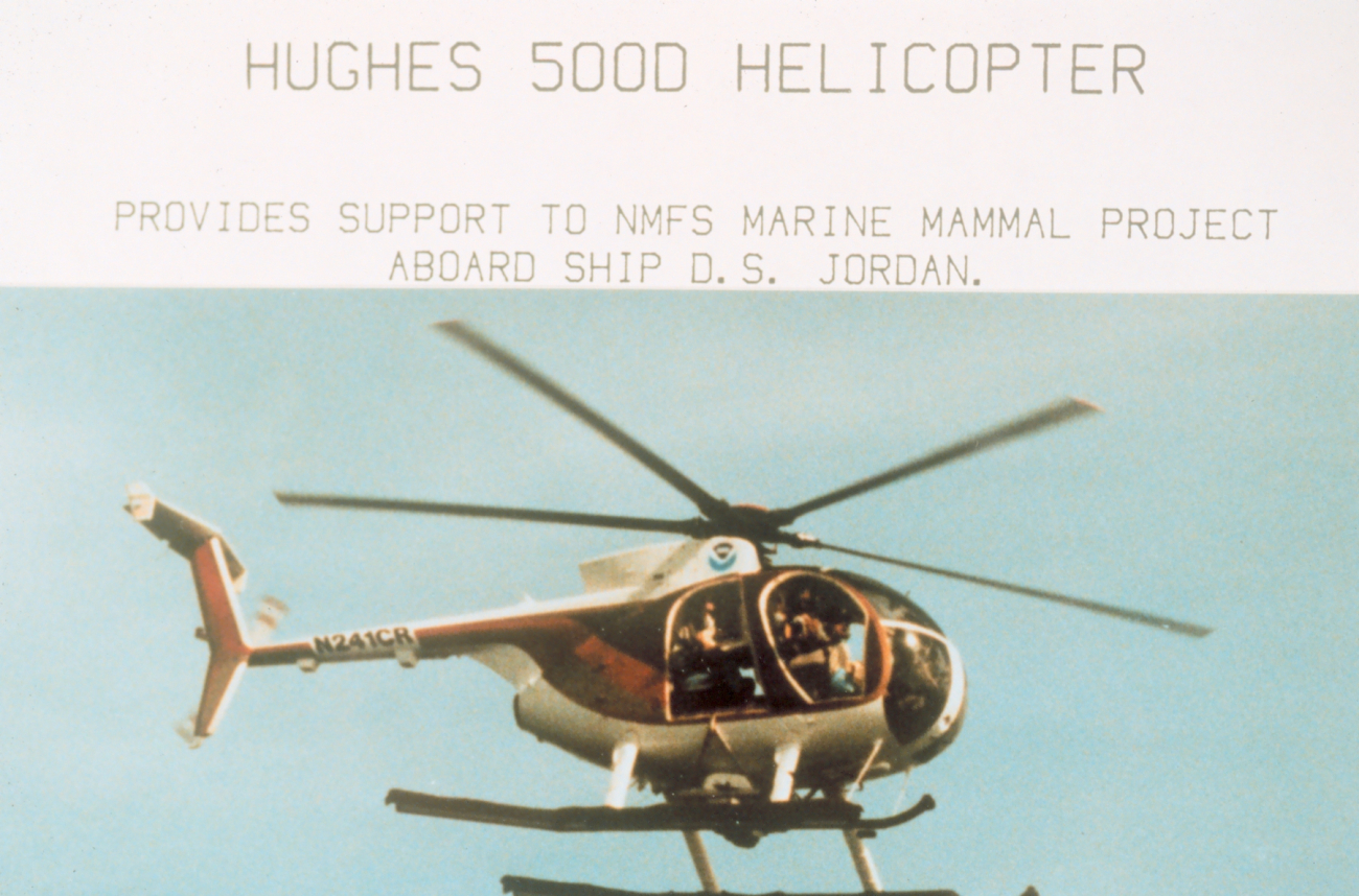McDonnell-Douglas MD-500D helicopter multi-mission helicopter used by NMFS tofly off the NOAA Ship DAVID STARR JORDAN