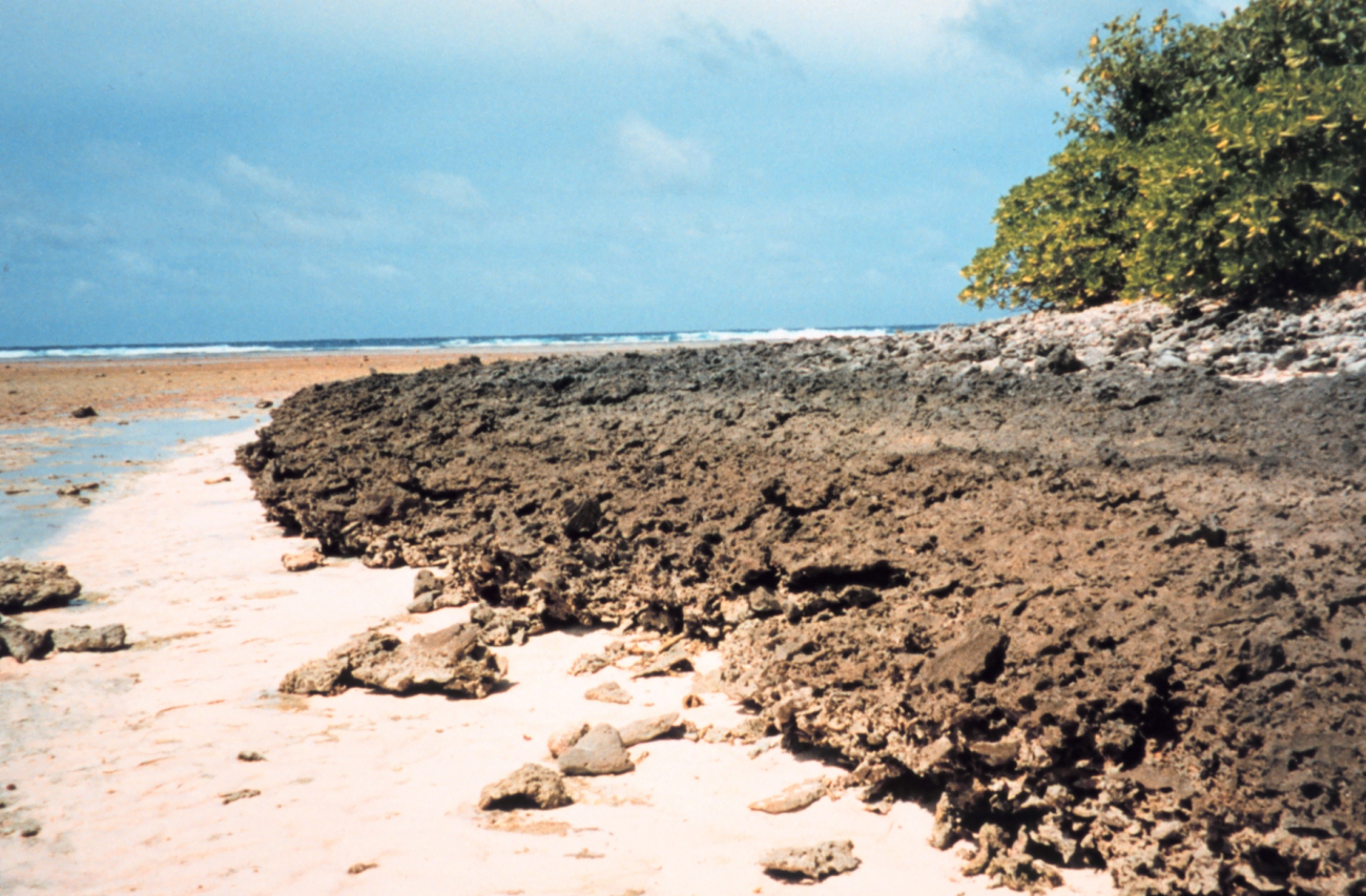 Sharp hard coral shoreline at low tide