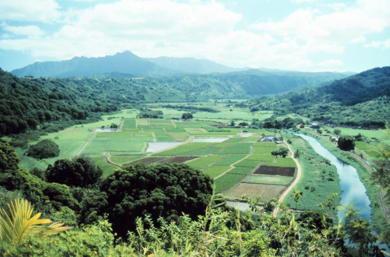 Plantation on Kauai
