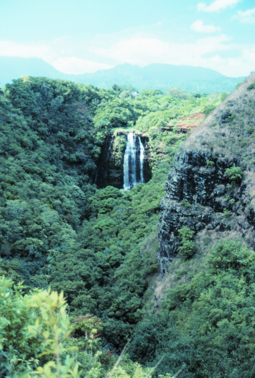 A waterfall on Kauai