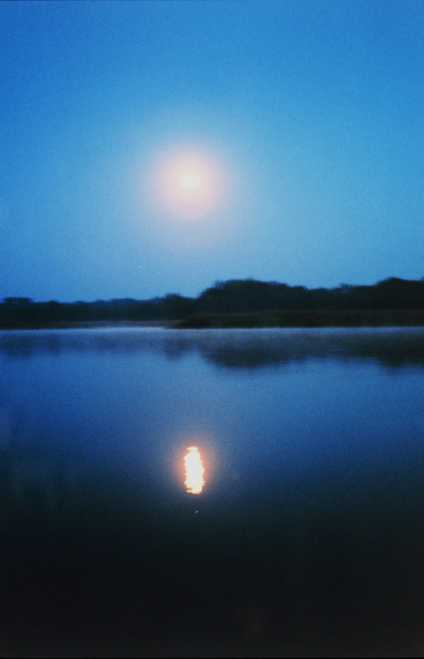 A full moon reflecting off the river - almost at dawn