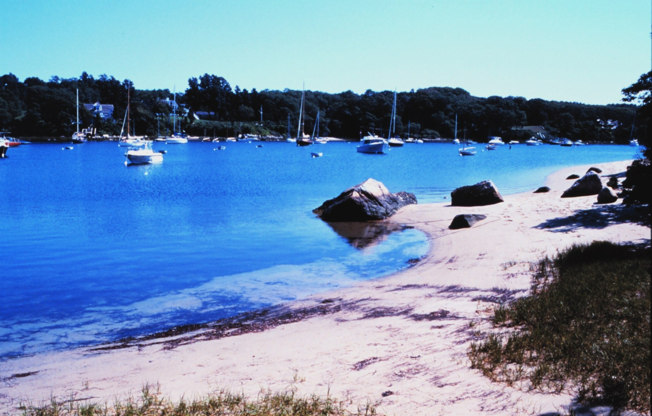 Quissett Harbor, Woods Hole, Falmouth