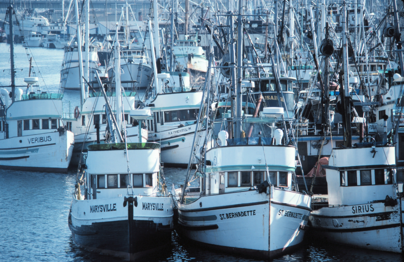Fishing vessels tied up in Seattle