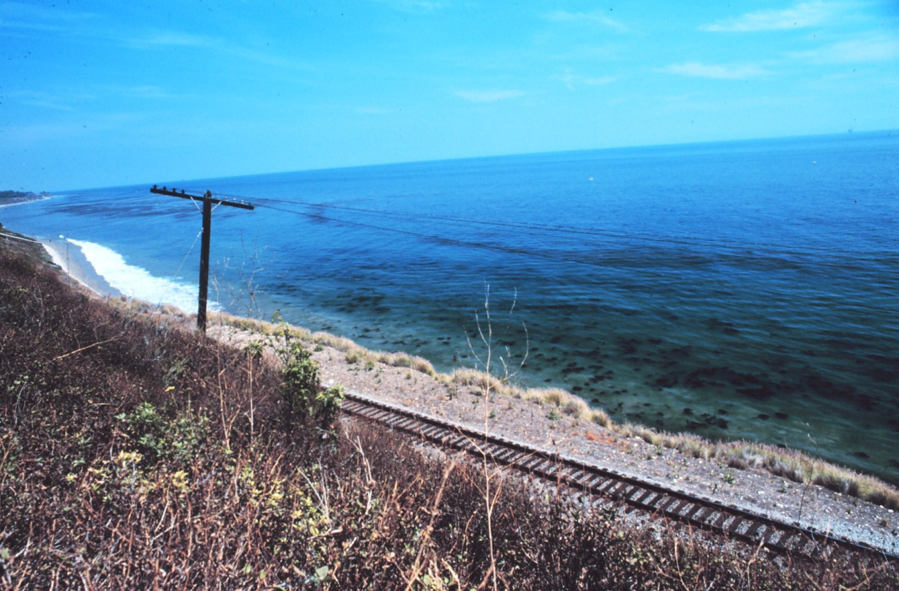 Looking over a seaboard railroad track to offshore kelp beds near Lompoc