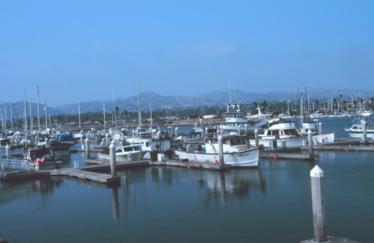 Fishing vessels at Channel Islands Harbor with the coast range visible