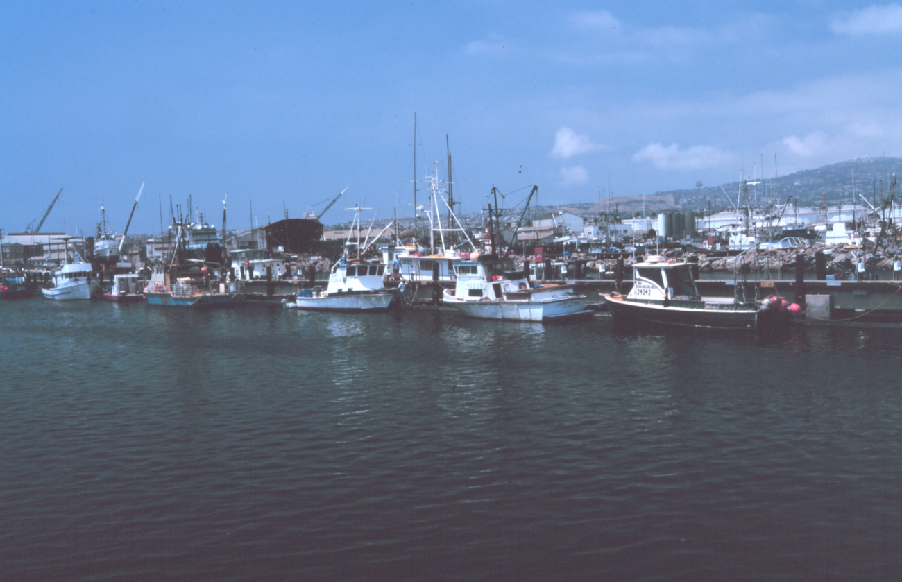 Fishing vessels in port at Terminal Island, Los Angeles area