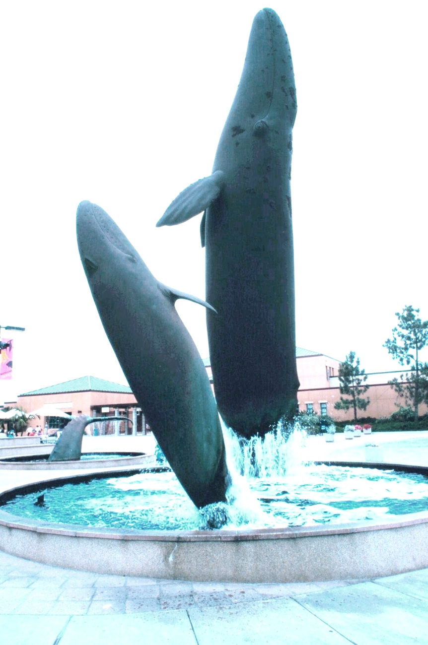 Whale sculptures grace the fountain at the Birch Aquarium