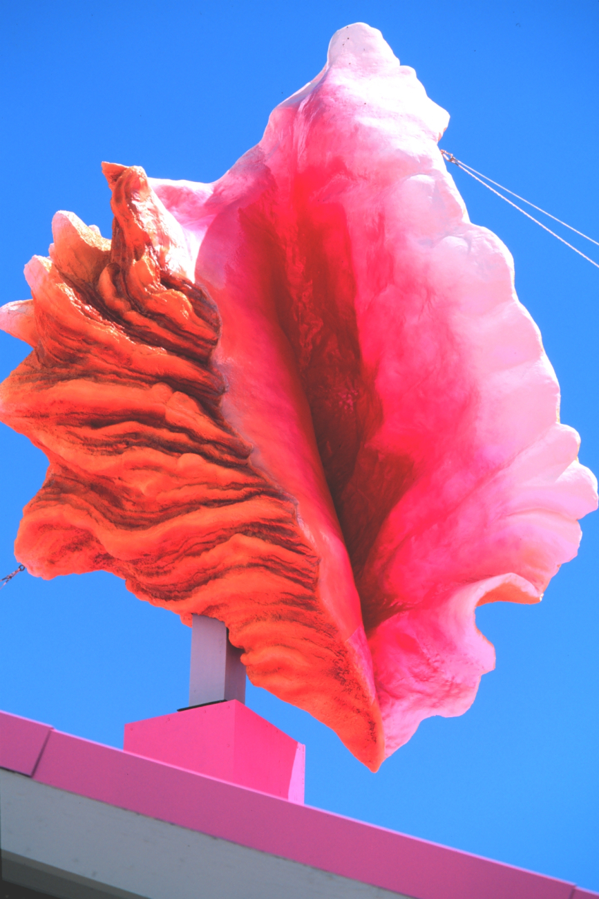 A really giant conch on the roof of the Hard Conch restaurant