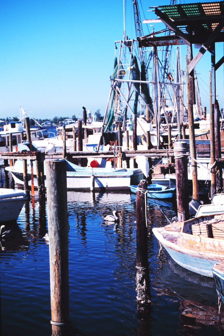 Shrimp, snapper, grouper, and stone crab fishing boats at A