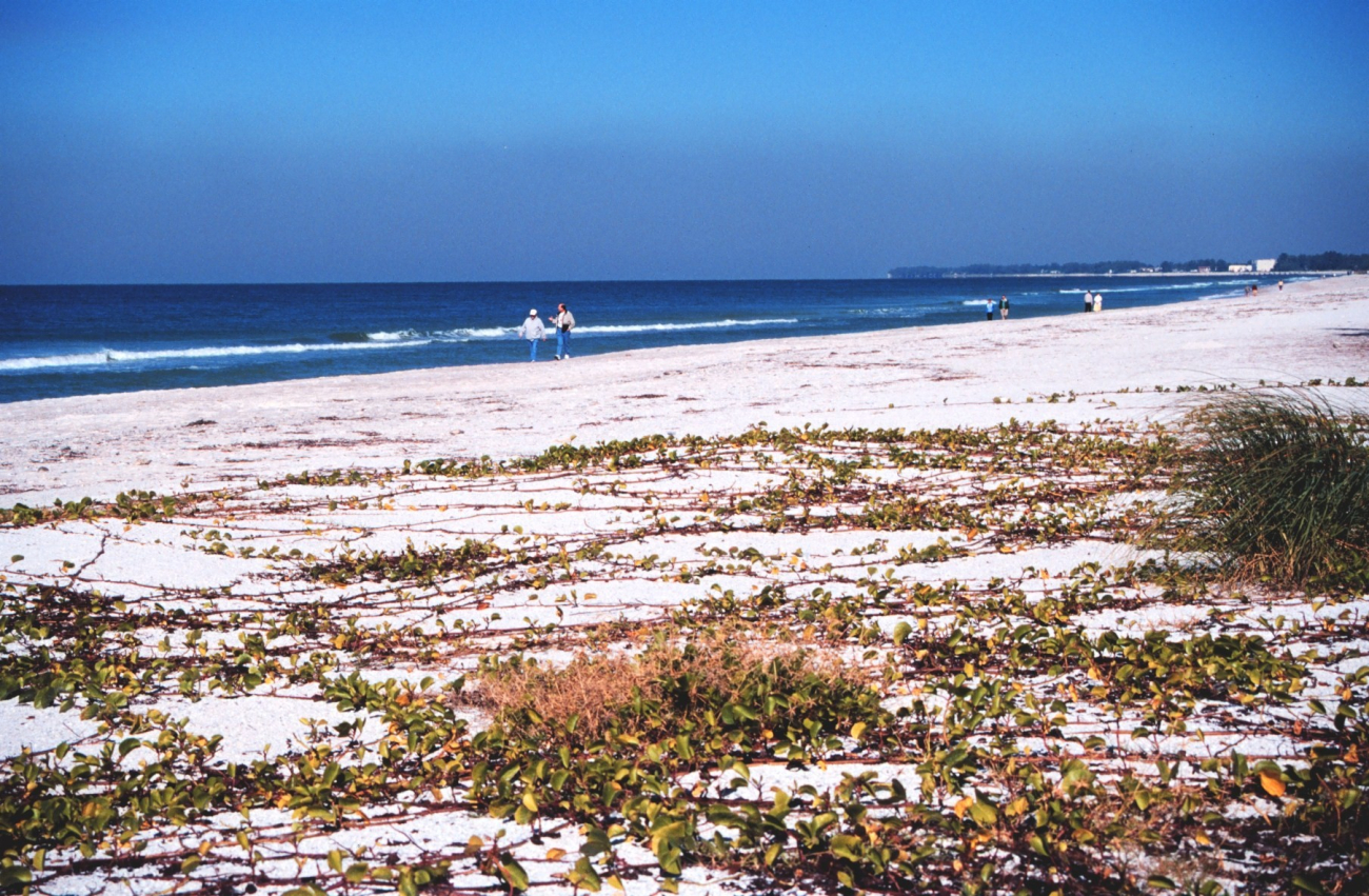 A view of the beach along the Gulf of Mexico