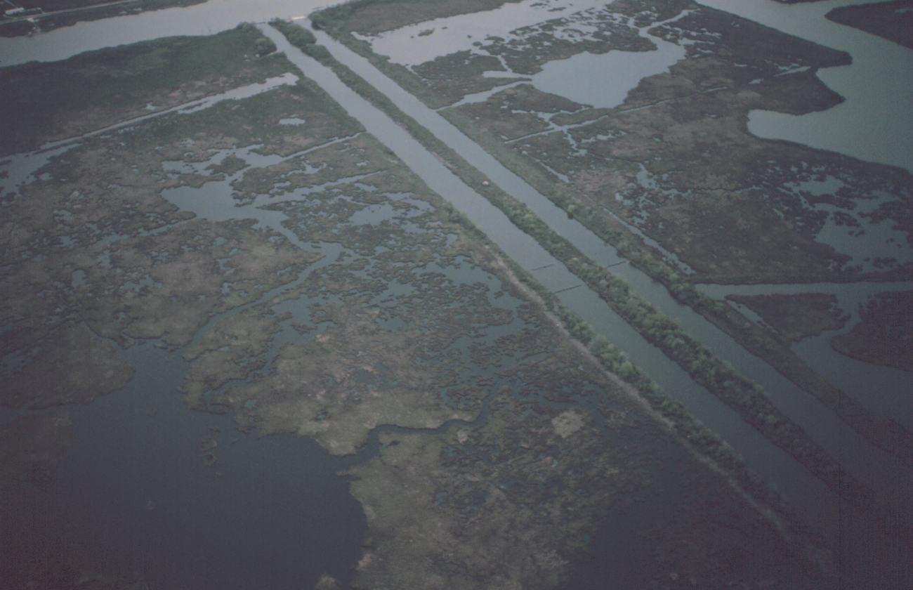 Subsiding marsh and man-made canals south of New Orleans