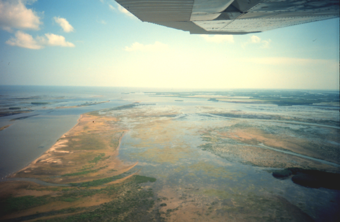 Aerial view of Mississippi Delta wetlands adjacent to Pass a Loutre