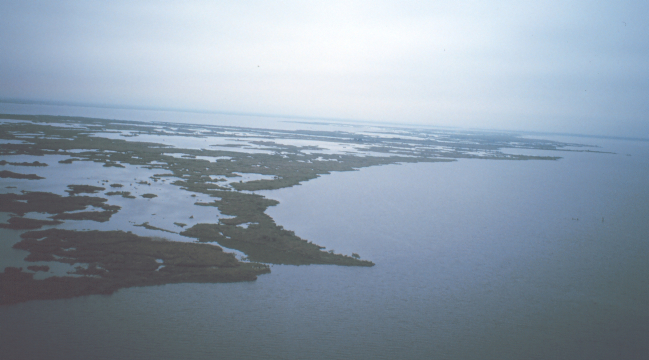 Eroding marsh peninsula between Bayous Perot and Rigolettes