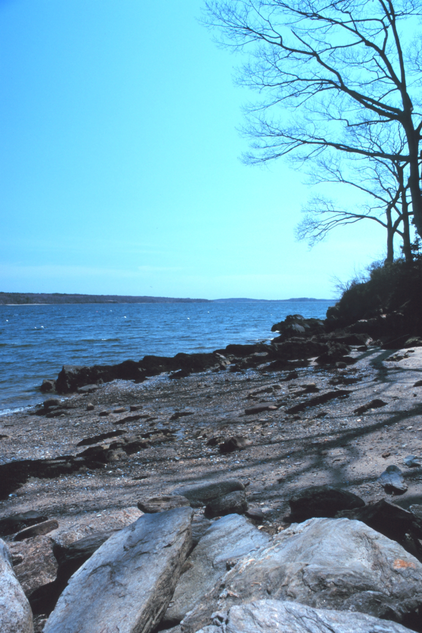 Maine is known for its rocky shoreline