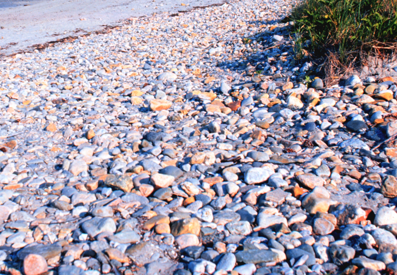 A pebbles on the beach near the port of Galilee