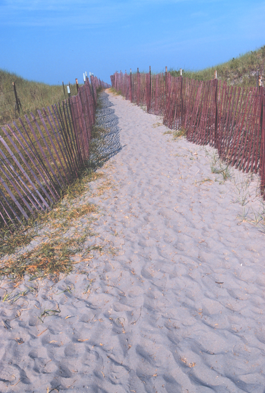 A path through the dunes