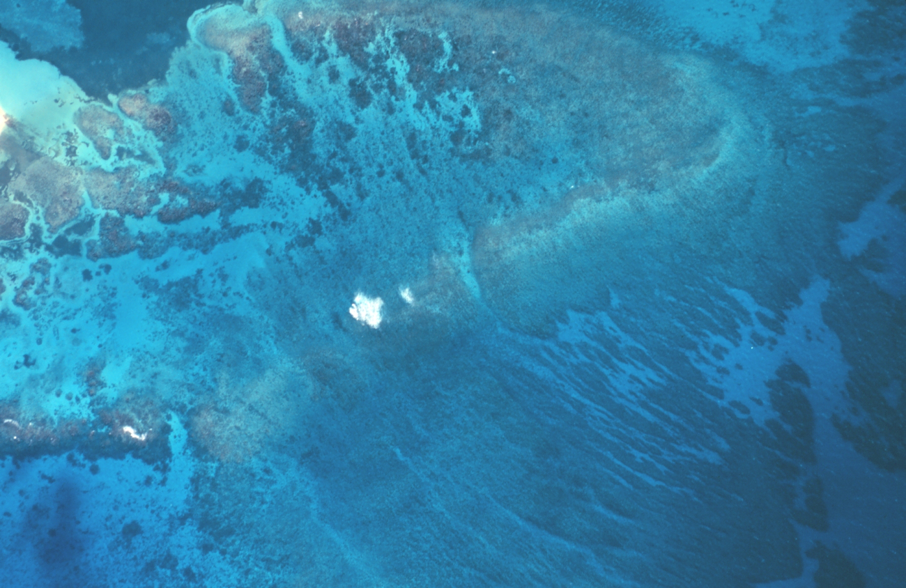Aerial view of patterns in a coral reef