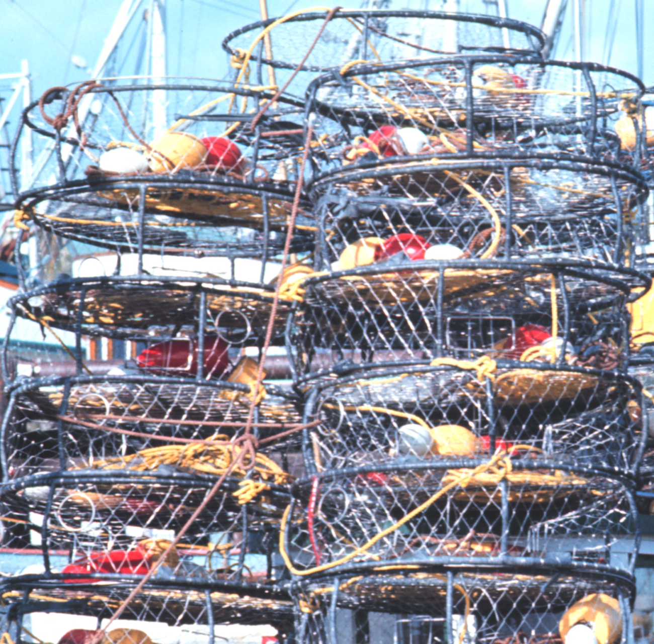 Crab traps on the dock