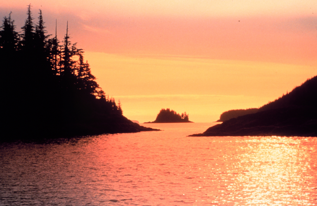 A golden glow suffuses the atmosphere while reflecting off the waters ofPrince William Sound at sunset