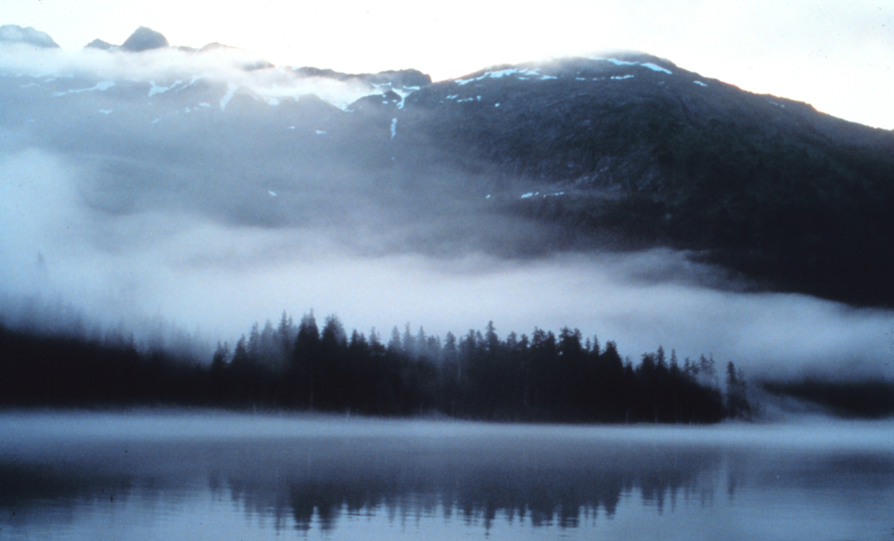 Fog and mist reminiscent of an impressionist painting overlying waters, trees,mountain valleys of Prince William Sound