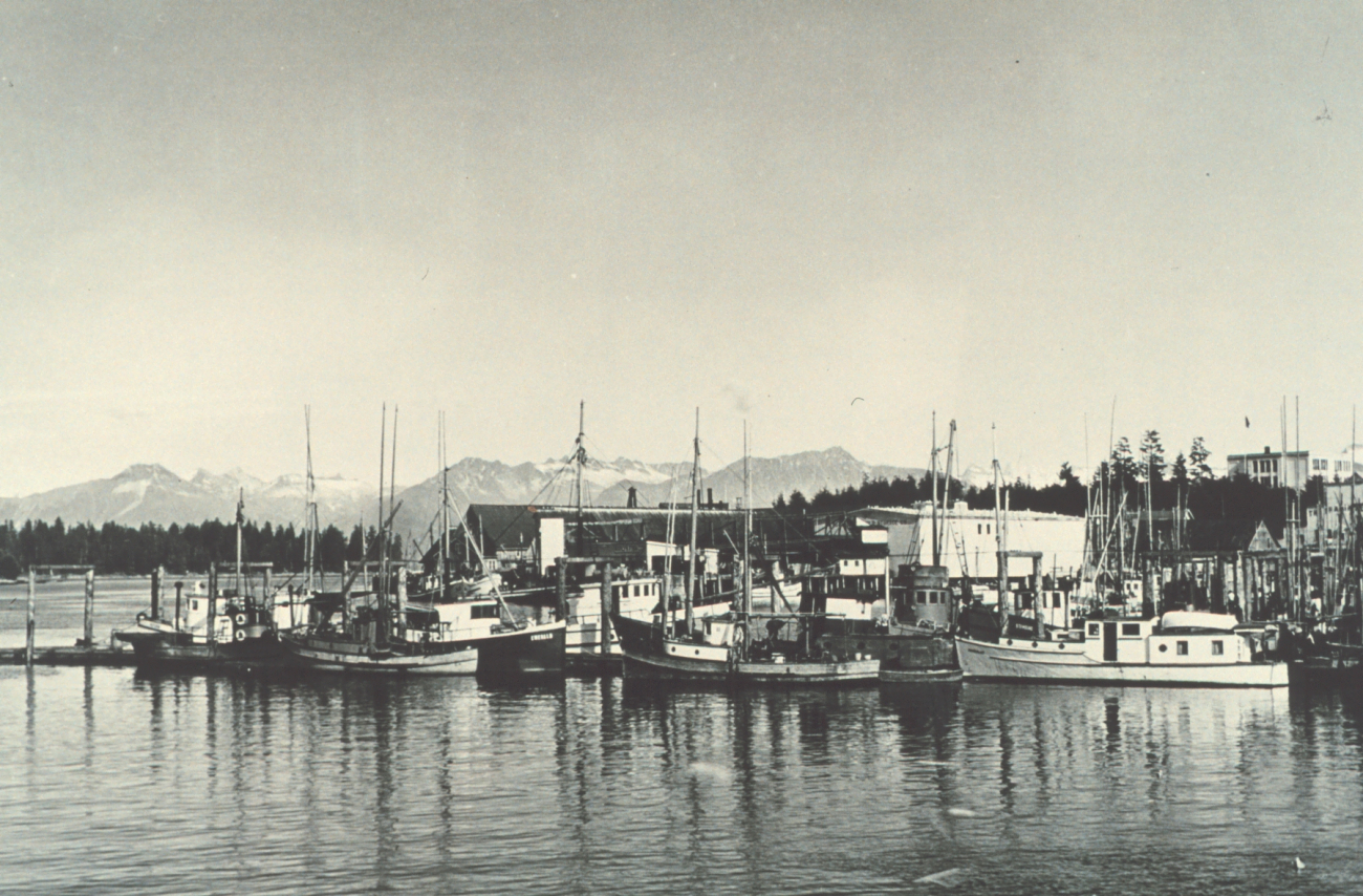 Commercial fishing boats at Petersburg