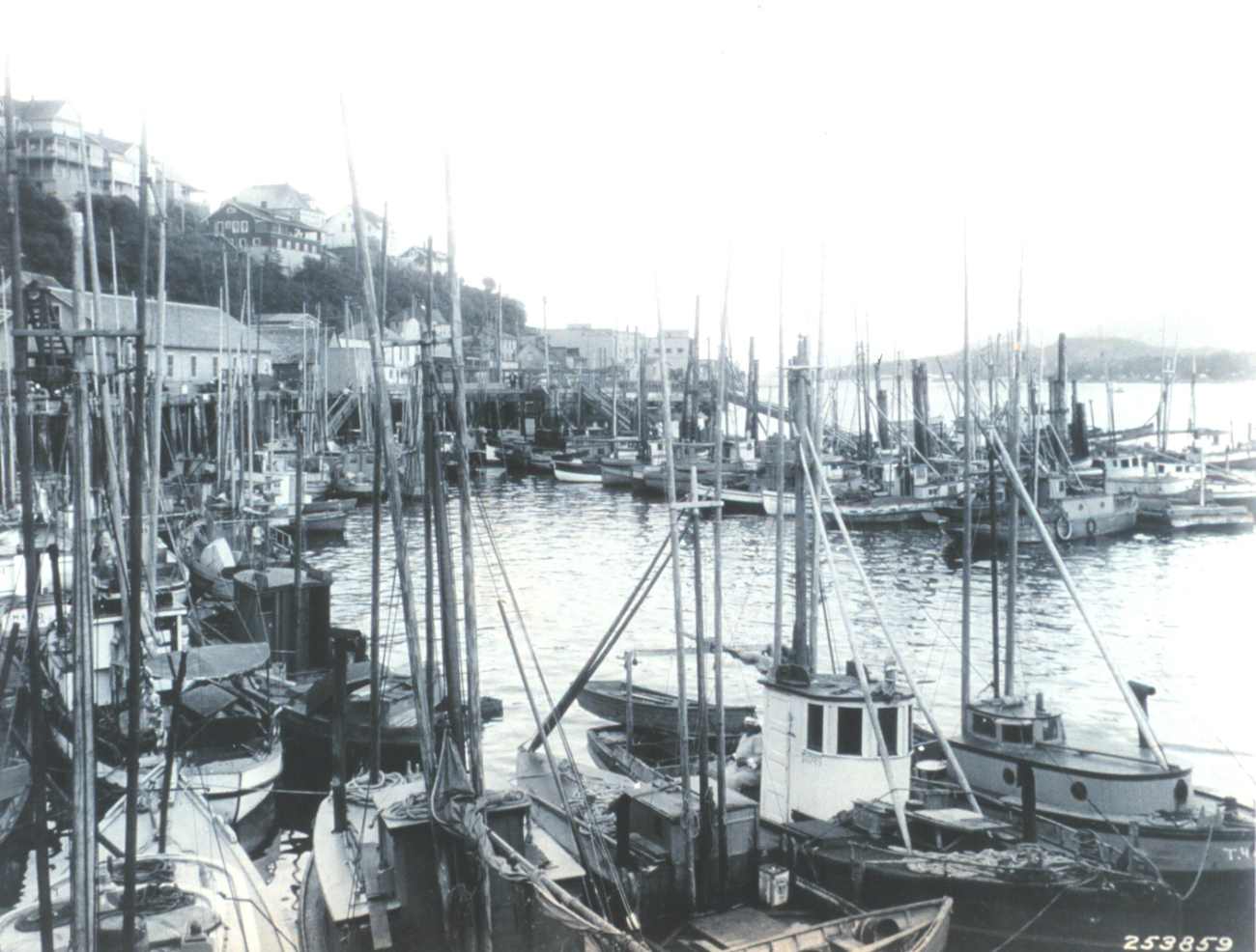 The fishing fleet at Ketchikan