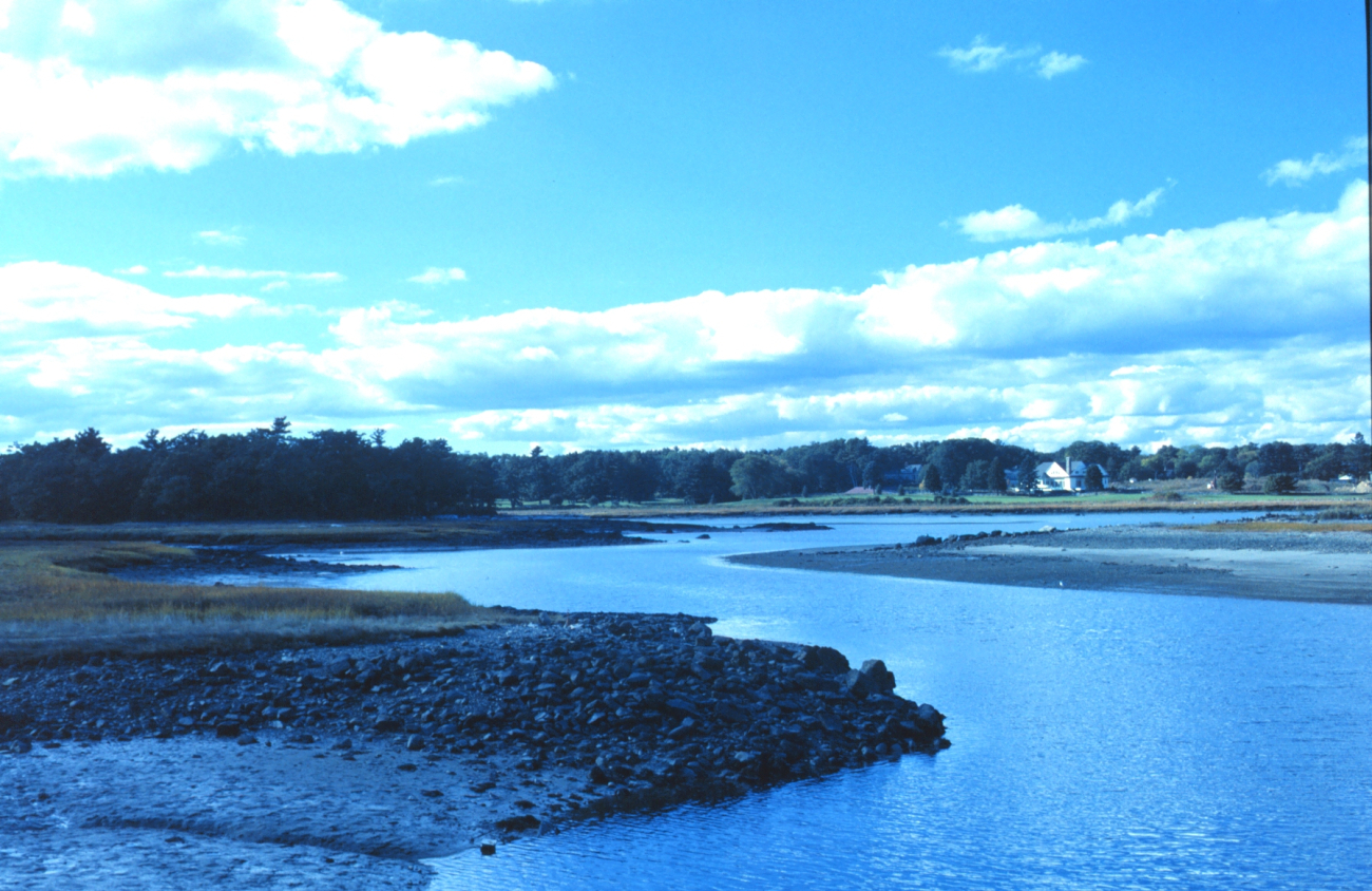 Part of the tidal stream pattern at Great Bay National Estuarine ResearchReserve