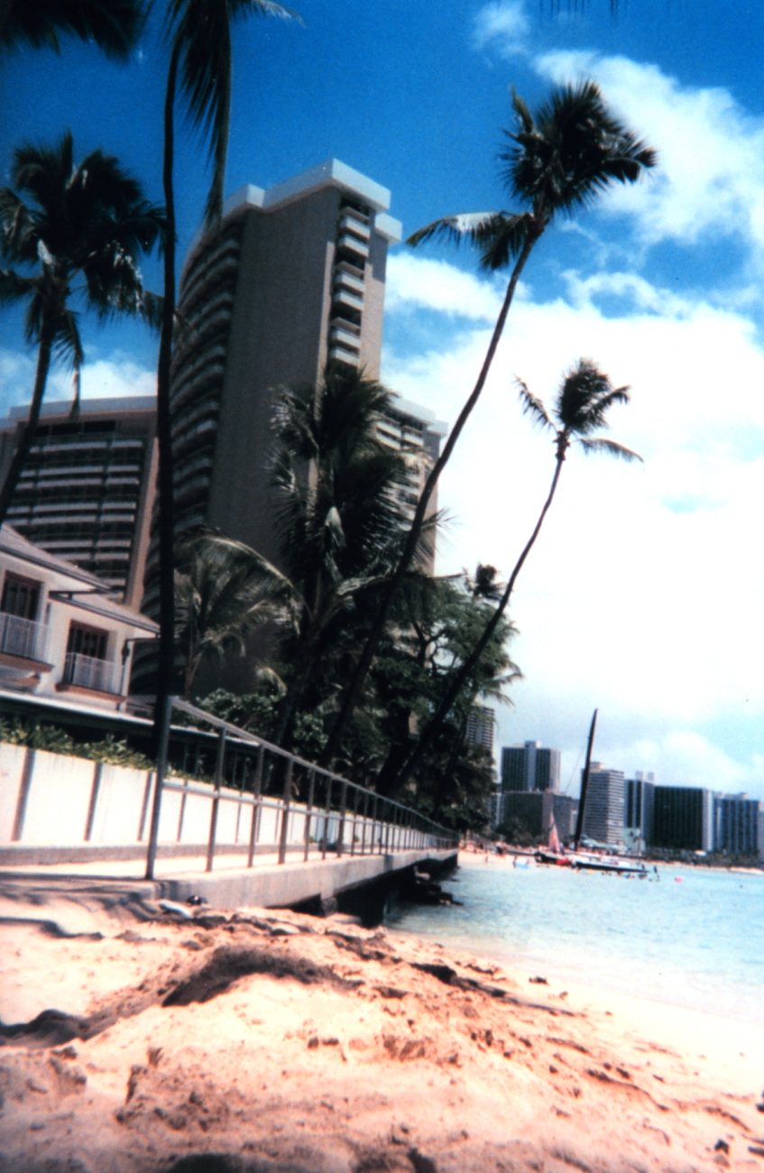Hotels and palm trees at Waikiki